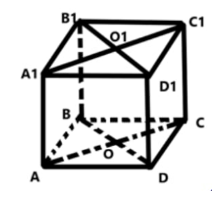 423082_1761306785.png