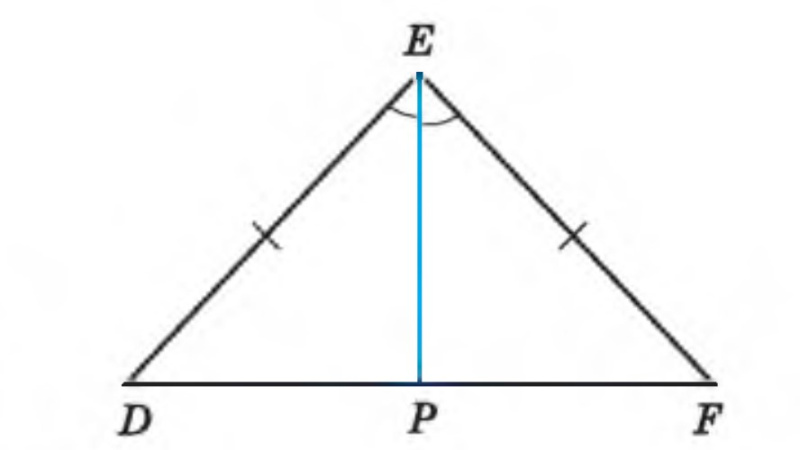 826661_1737889659.jpg