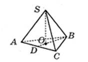 915336_1741192495.png
