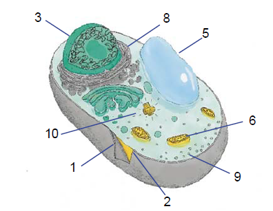 383482_1759836129.png