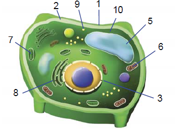 829209_1759836131.png