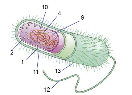 964342_1759836128.png