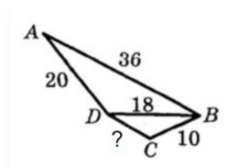 306022_1737565898.jpg