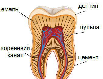 361495_1766086100.png