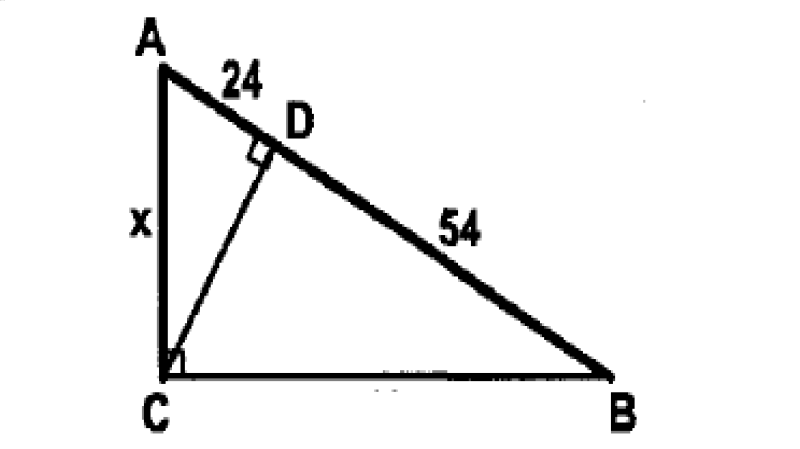 739336_1738404310.png